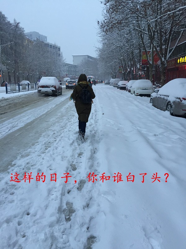 白头.jpg