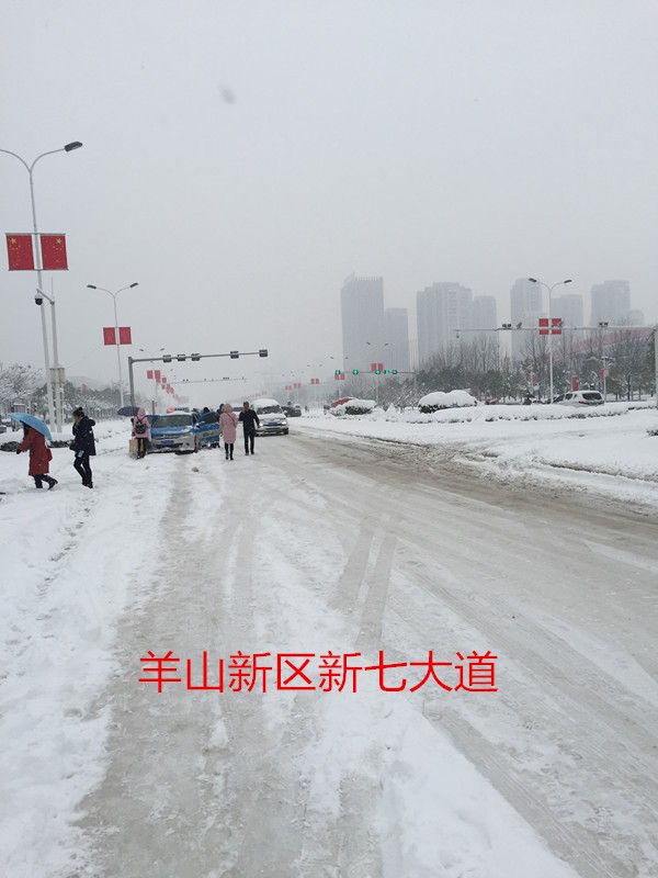 新七大道.jpg