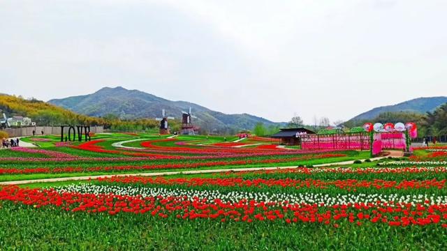 微信图片_20200323090509.jpg