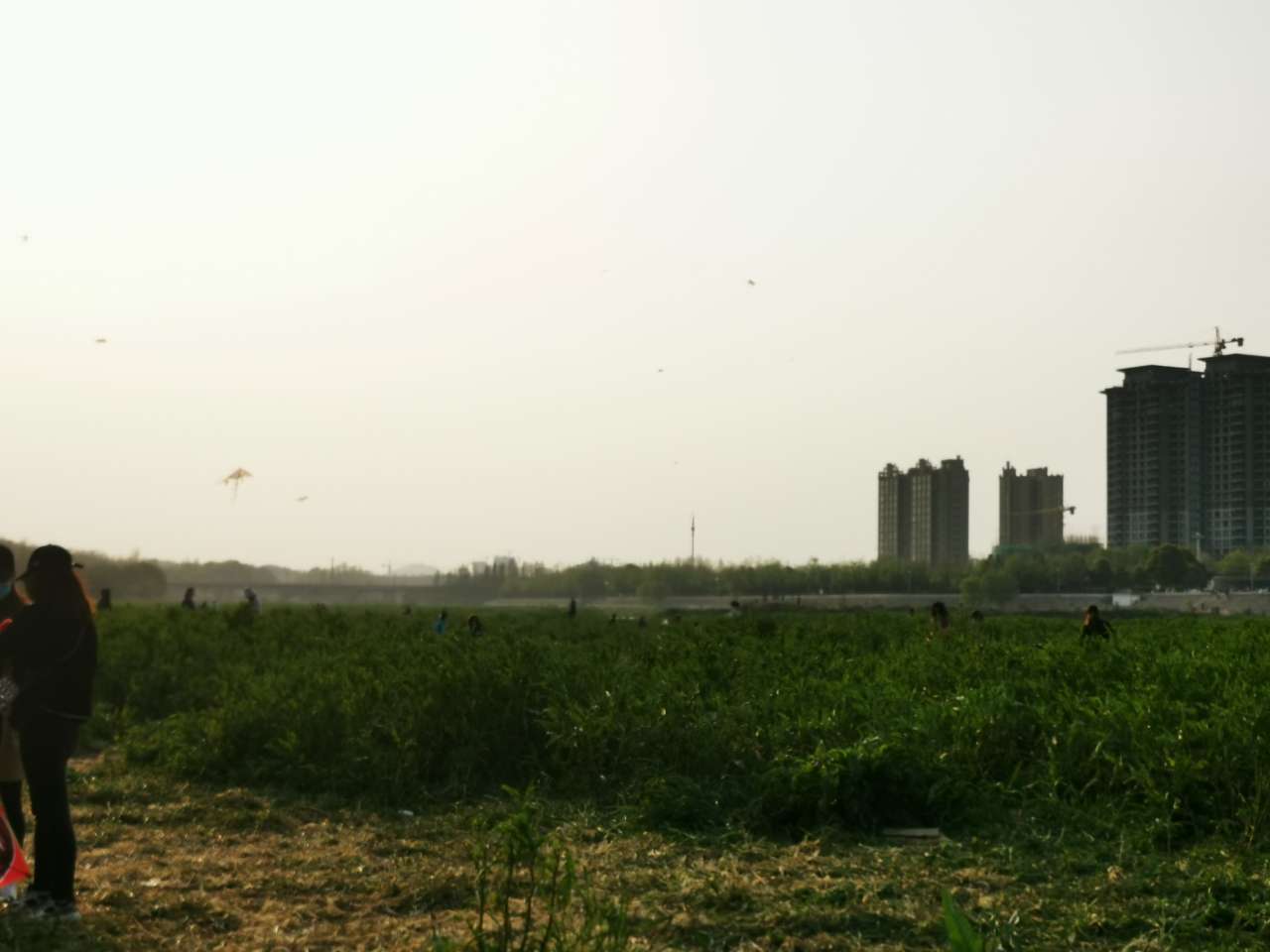 20200405_64555_1586094532357.jpg