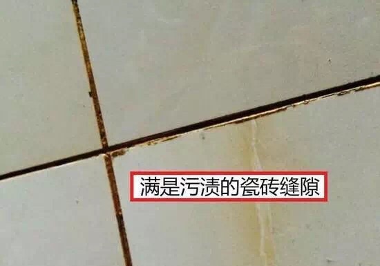 FqUh0R8bERulG15LhV8HxYvSCLW9.jpg