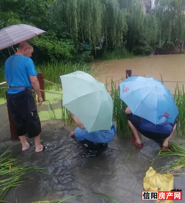 这里.png