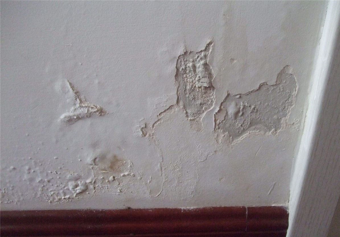 20200830103639_5172.jpg