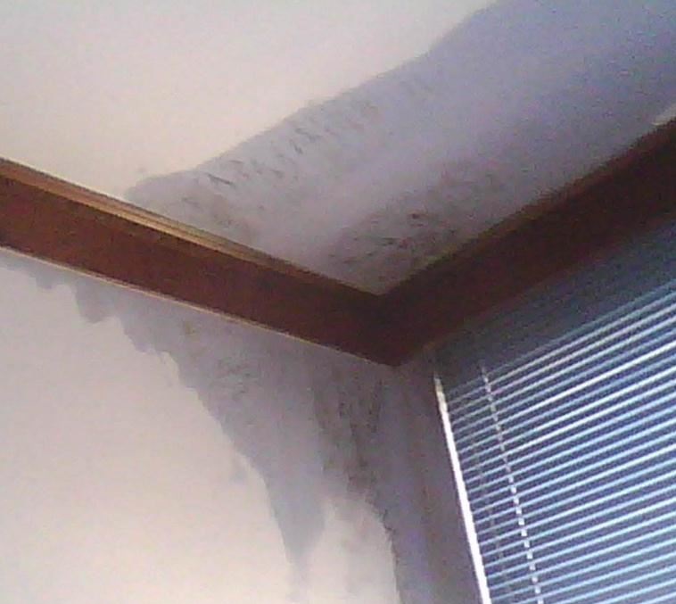 20200903164056_1241.jpg