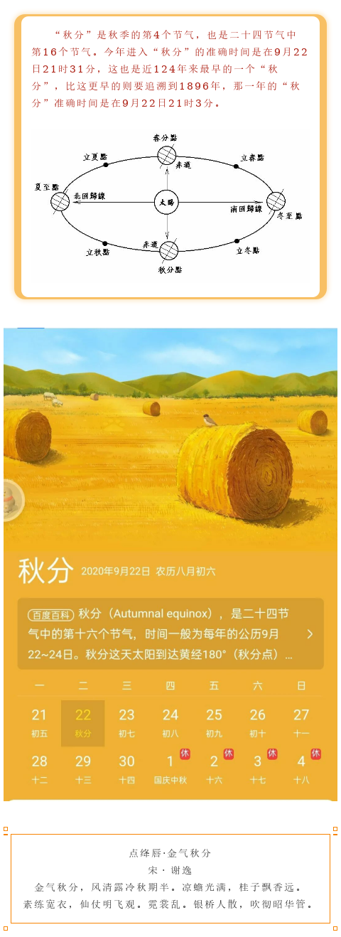 101850799_1600847327.png