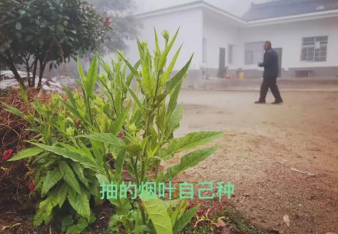 QQ截图20201211093852.jpg