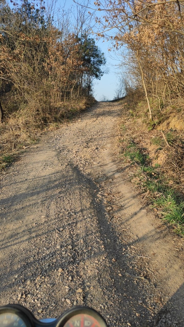 202103_1g2tjqEH08HJskWLWOO5f51ryqZQz97i.jpg