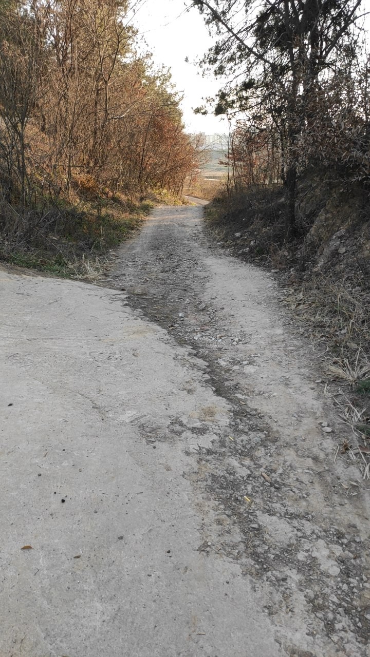 202103_T1MBlpaapqrgoyJVIopuSKlyDK1qVTyI.jpg