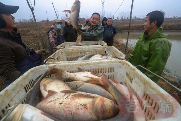 QQ截图20220107085741.png
