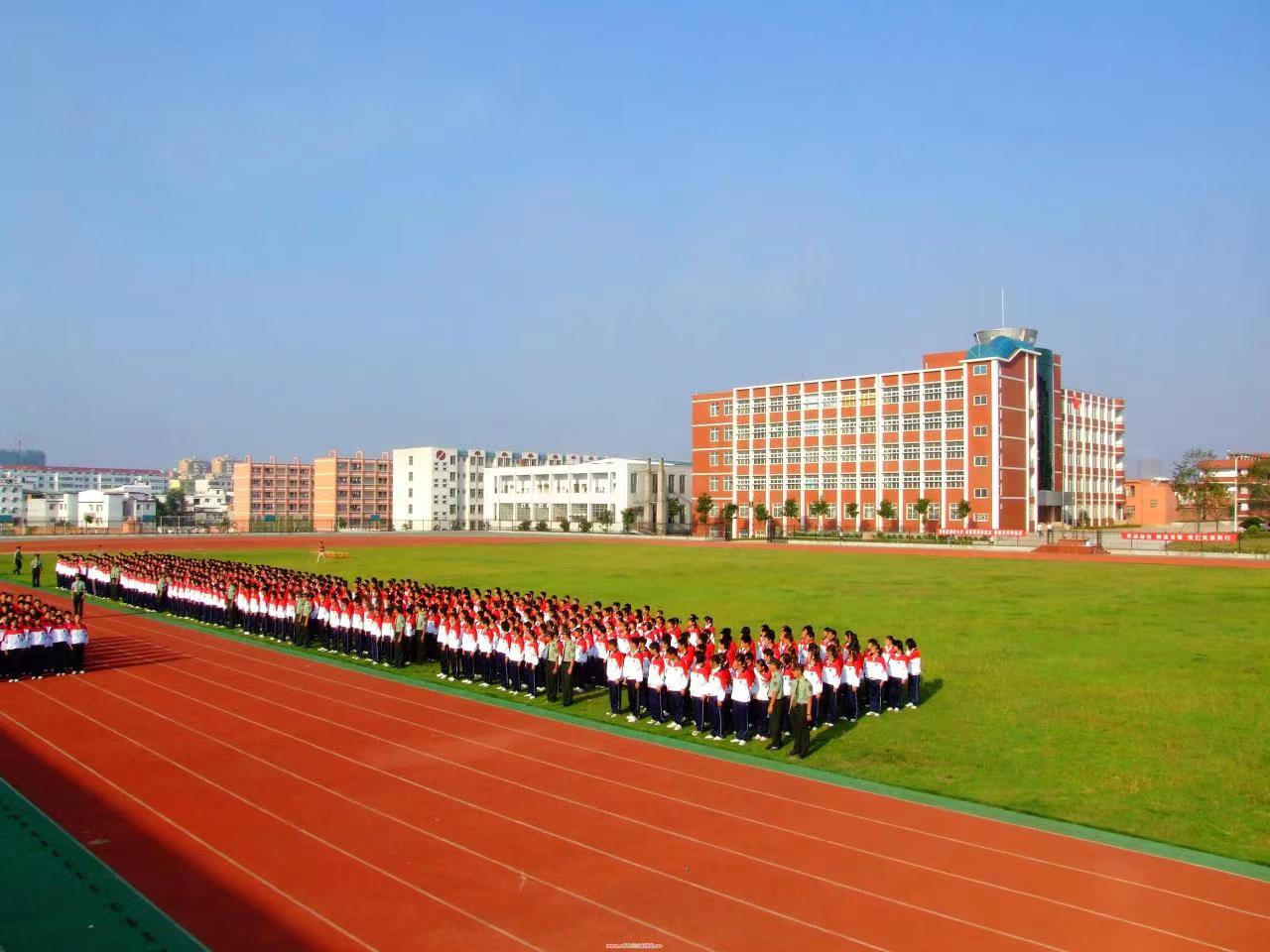 15.jpg