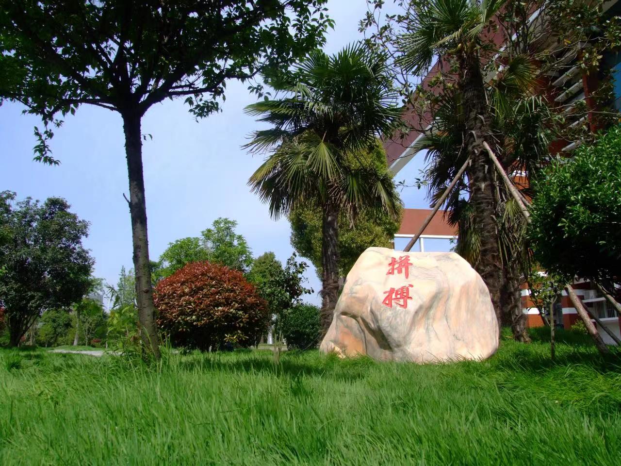 19.jpg