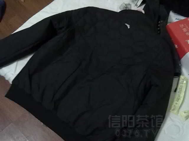 照片 061.jpg