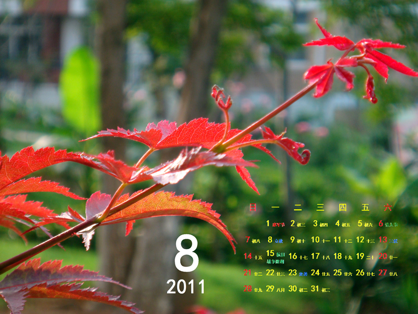 2011-8-2.jpg
