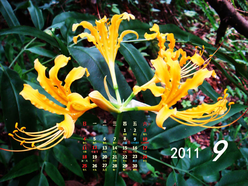 201109-14x.jpg