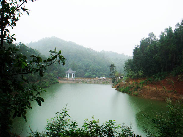恒阳生态园6.jpg