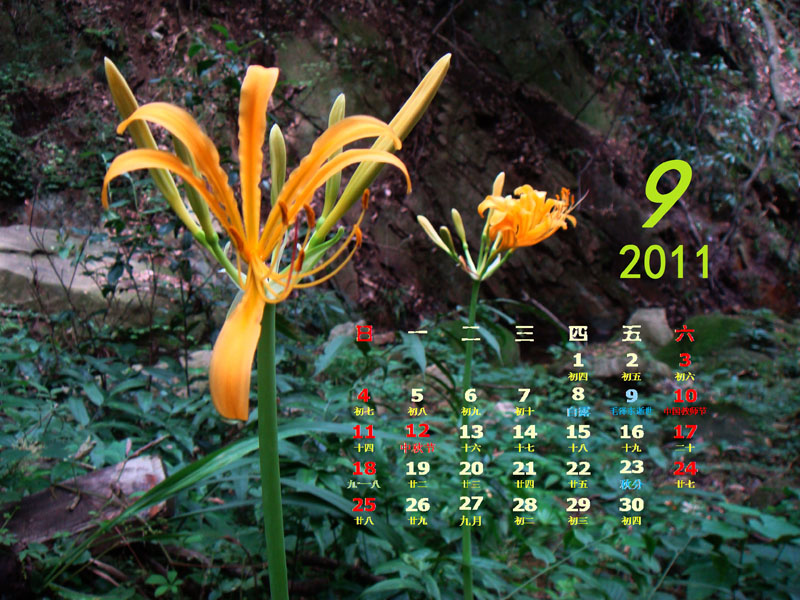 201109-11x.jpg