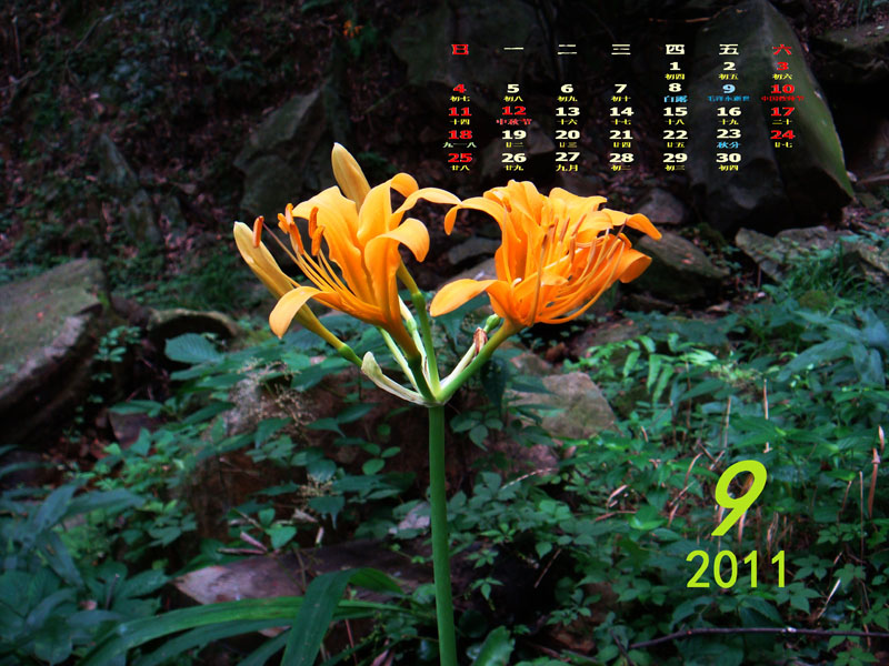 201109-9x.jpg