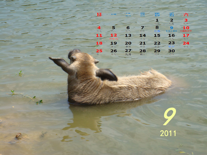 201109-8x.jpg