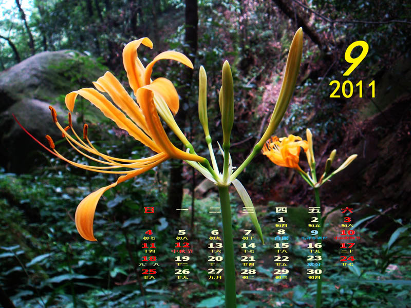 201109-7x.jpg