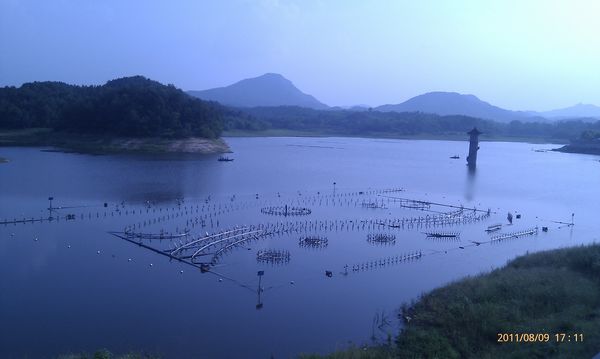 IMAG0155.jpg