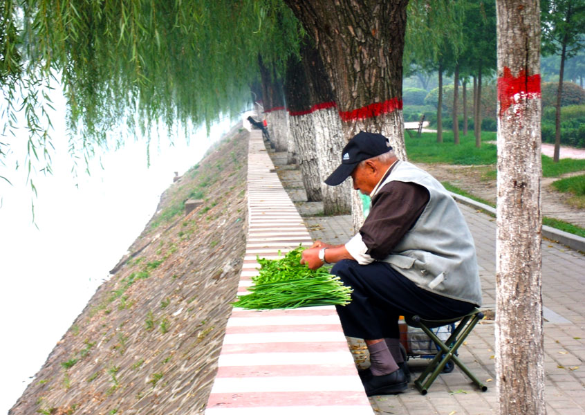 择菜老人3x.jpg